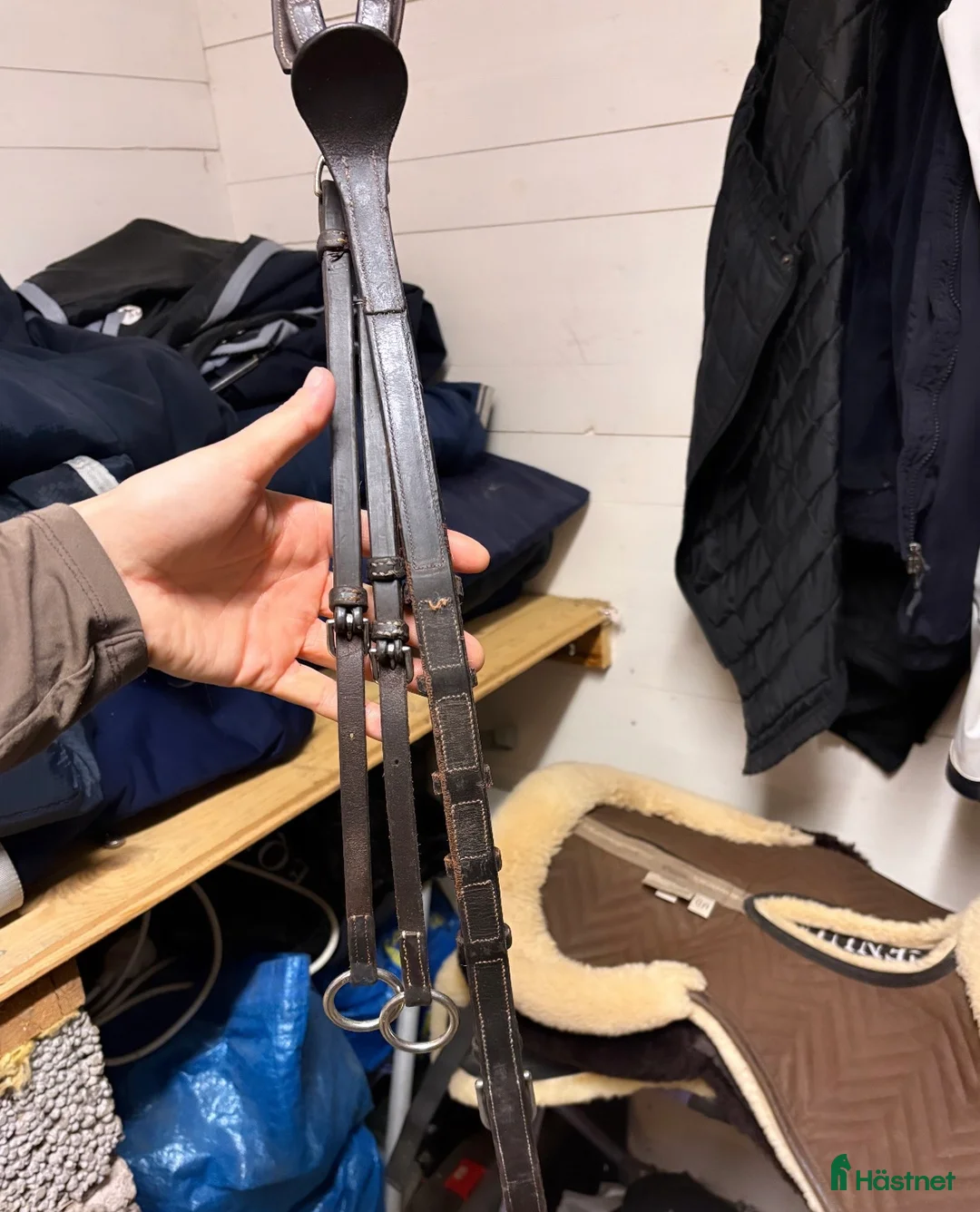 Övrig Hästutrustning hästutrustning till salu: CWD förbygel i Sigtuna - Annons 7