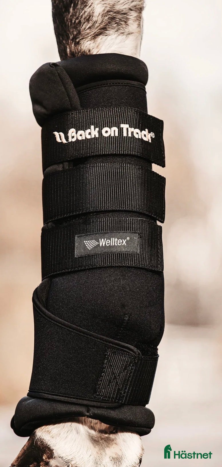 Benskydd hästutrustning Nya back in track  - Annons 11