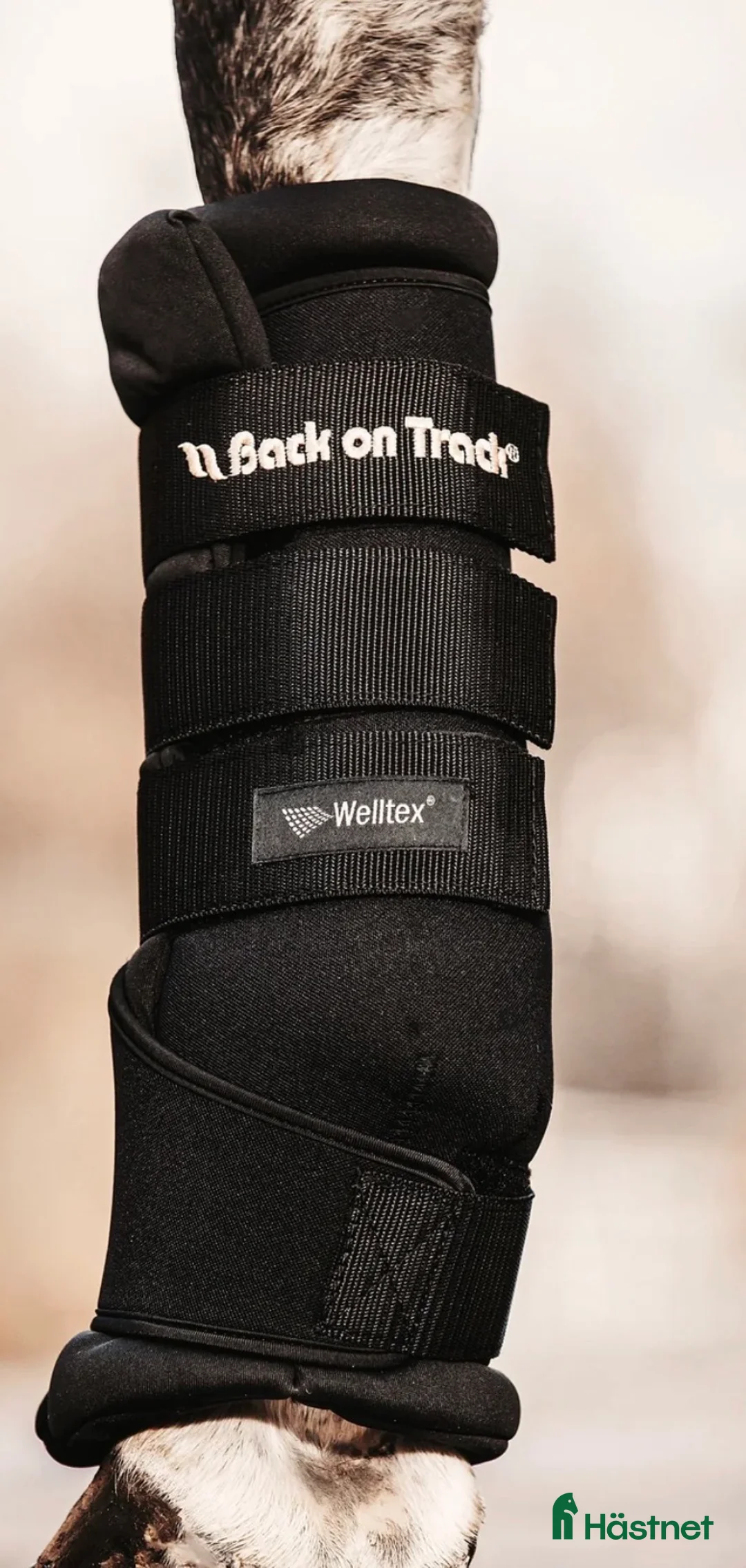 Benskydd hästutrustning till salu: Nya back in track  - Annons 1