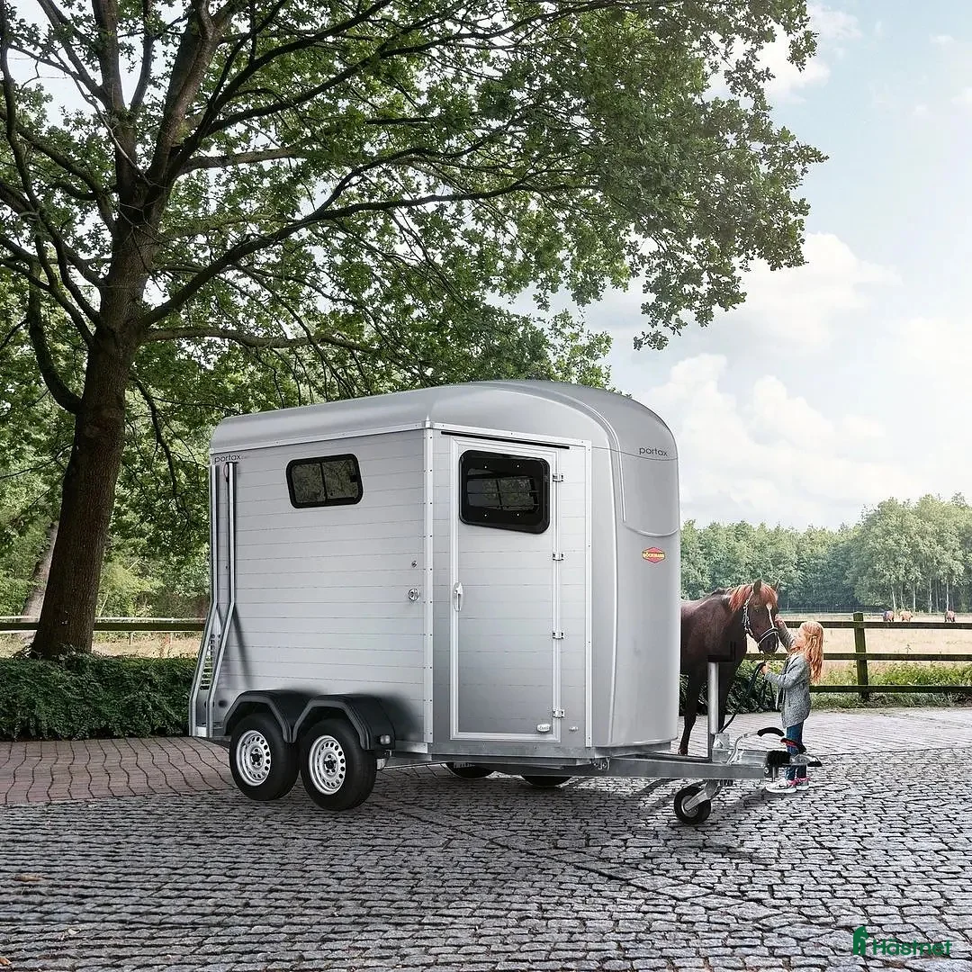 Hästtransporter  fordon & transport till salu: ✨ Böckmann Portax Esprit 2026 i Vallentuna - Annons 1