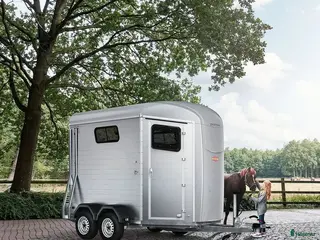 Hästtransporter fordon & transport till salu: ✨ Böckmann Portax Esprit 2026 i Vallentuna - Annons 3