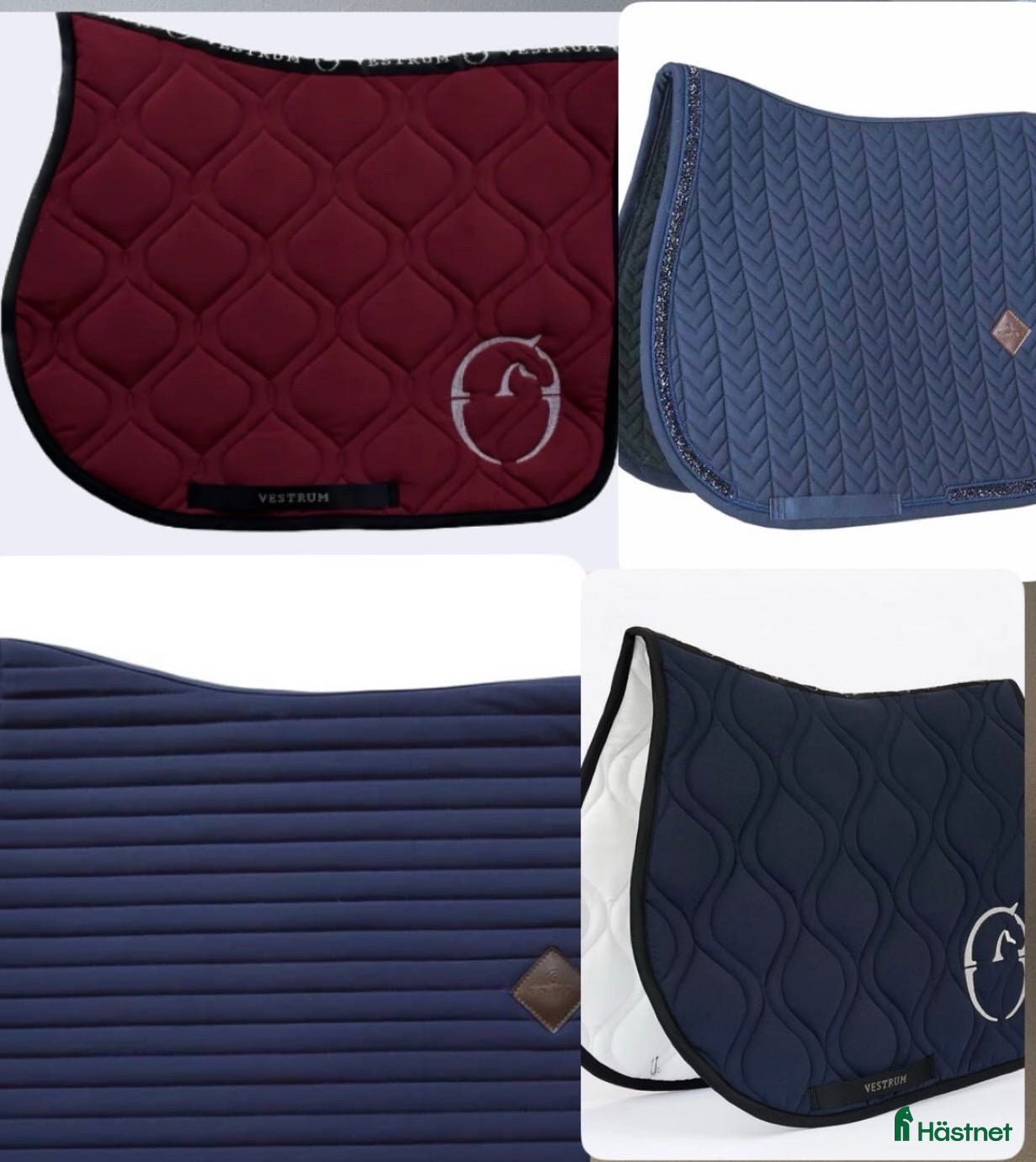 Schabrak & Vojlockar hästutrustning till salu: Söker i Ödåkra - Annons 24