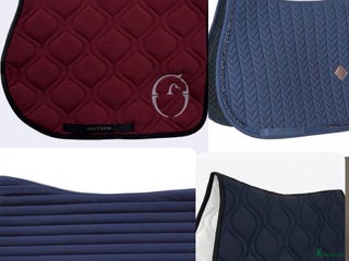 Schabrak & Vojlockar hästutrustning till salu: Söker i Ödåkra - Annons 2