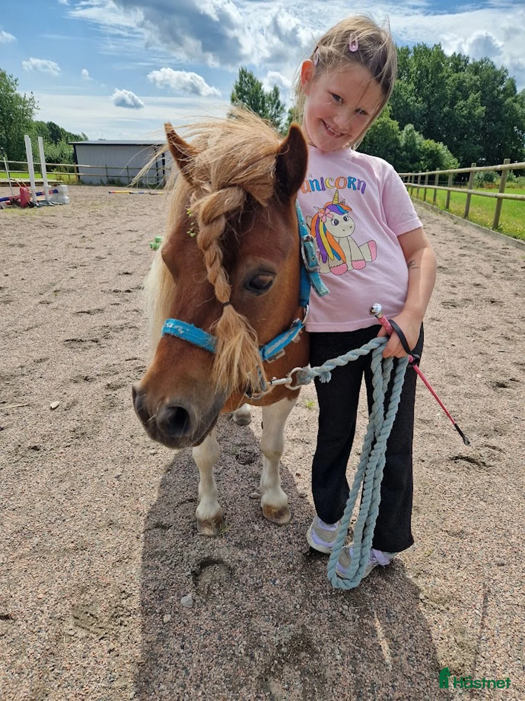 Allround hästar sökes: Har ni våran bästa vän? i Löberöd - Annons 6