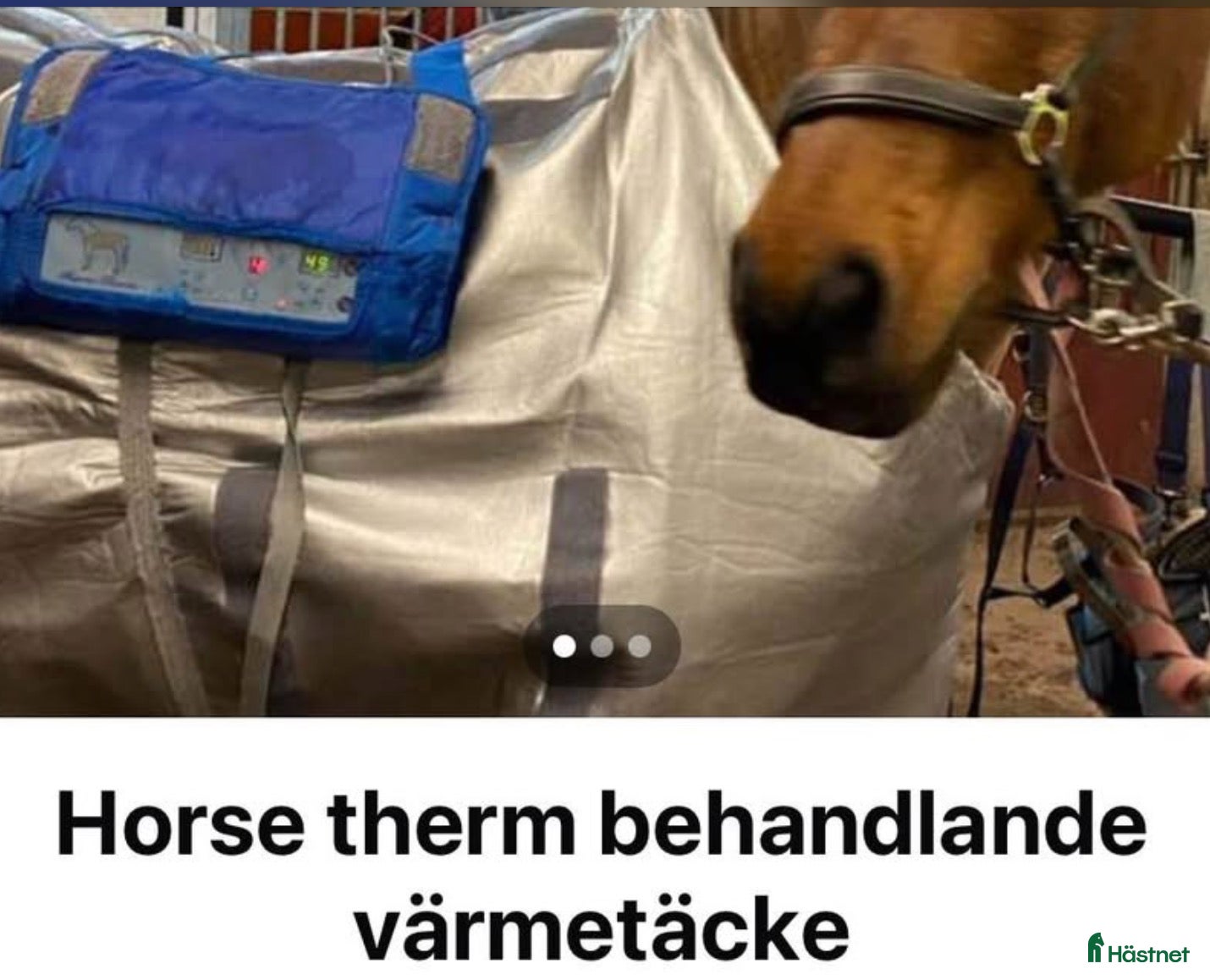 Övrig Hästutrustning hästutrustning till salu: Horse therm behandlande värmetäcke - Annons 1