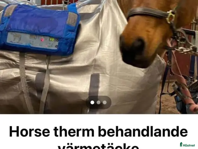 Övrig Hästutrustning hästutrustning till salu: Horse therm behandlande värmetäcke - Annons 1