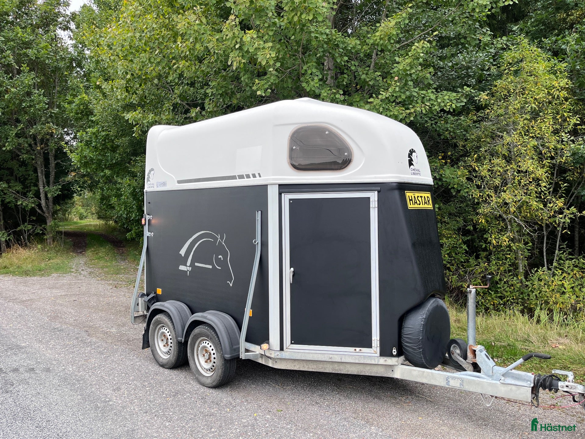 Hästtransporter  fordon & transport till salu: Nybes Cheval XL m. Sadelkammare årsm 2014 - Annons 12