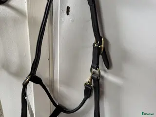 Övrig Hästutrustning hästutrustning Svart grimma i läder strl Full - Annons 4