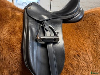 Sadlar hästutrustning till salu: Zaldi dressyrsadel i Kristianstad - Annons 2