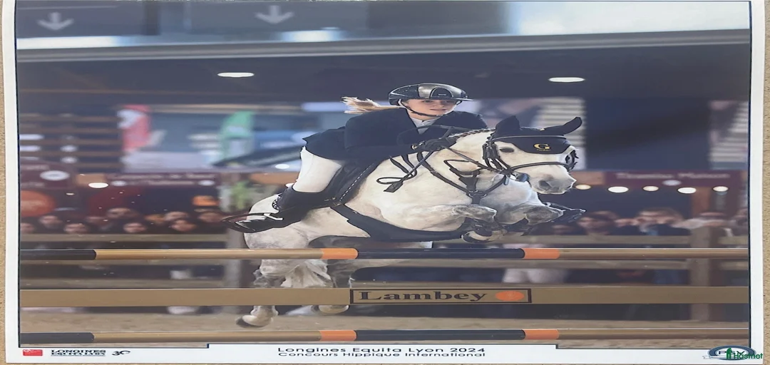 Galleribild {{count}}