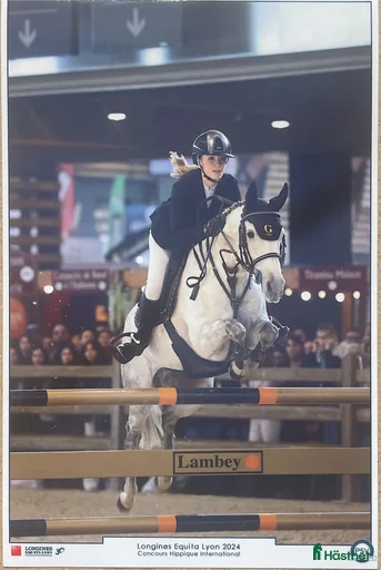 Galleribild {{count}}