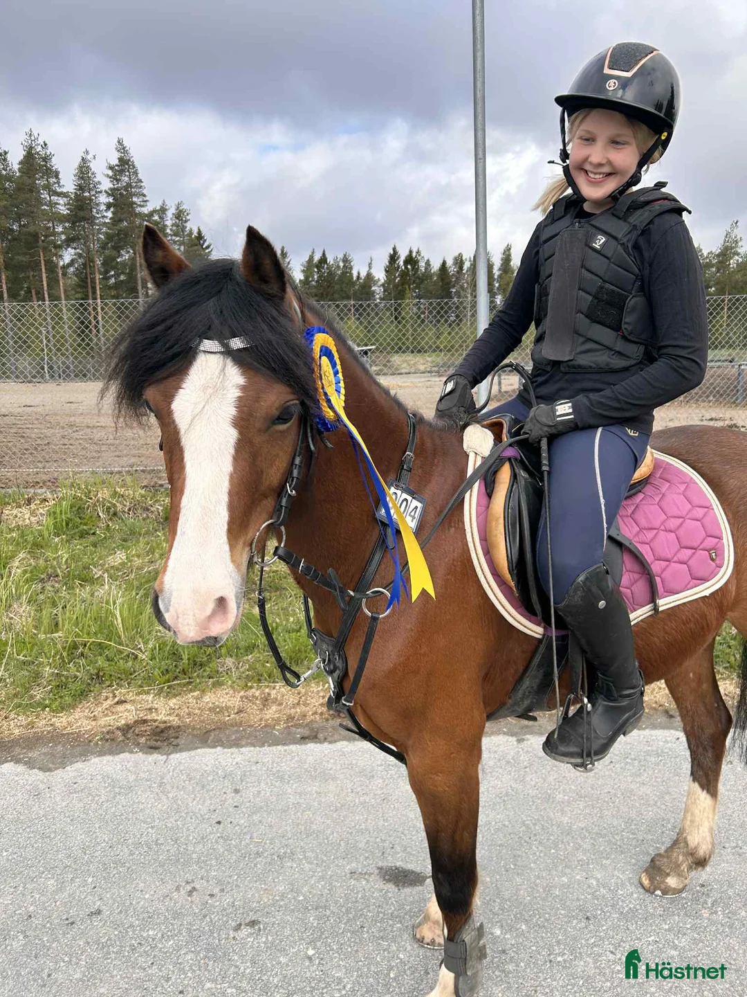 Allround hästar till salu: Framtida B-Ponny för tävling, Ametist  i Robertsfors Ö - Annons 3