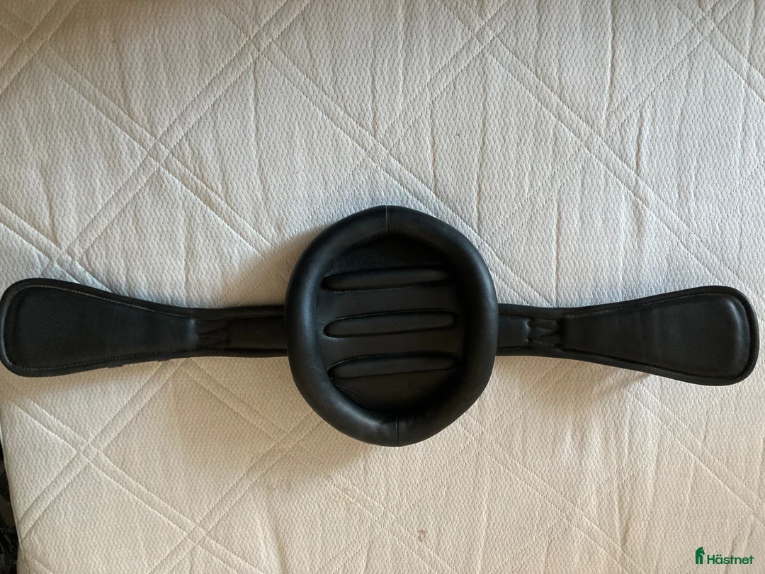 Sadeltillbehör hästutrustning till salu: Prestige RP dressyrgjord - Annons 3