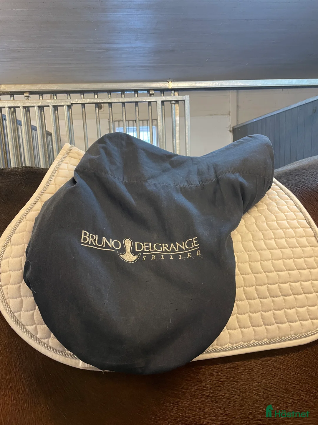 Sadlar hästutrustning till salu: Bruno Delgrange Nino 17,5" i Järlåsa - Annons 9