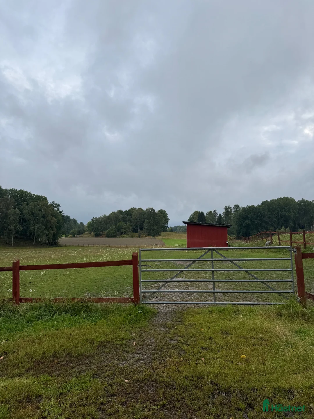 stallplats finnes: Lediga stall & lösdriftsplatser i Norra Sorunda - Annons 4