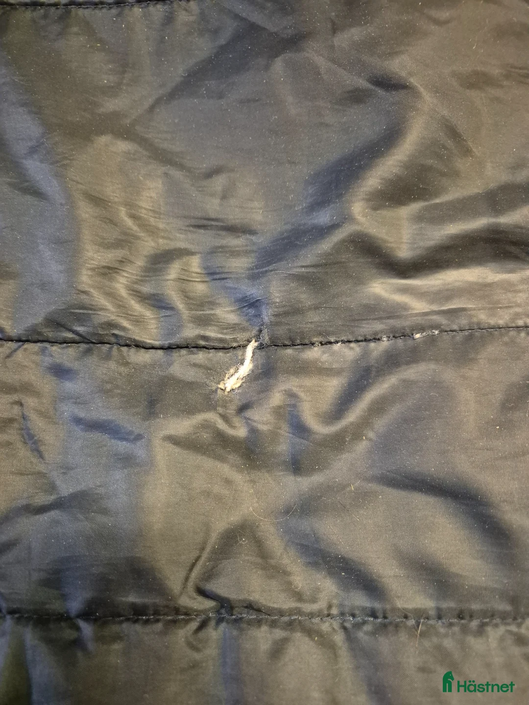 Täcken hästutrustning till salu: Liner 100gr 155cm - Annons 2