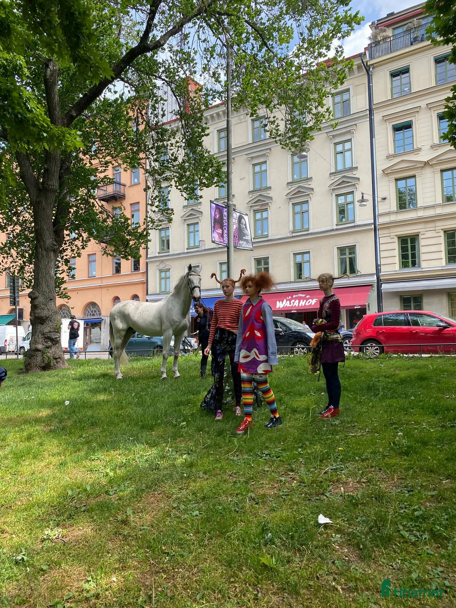  hästar Iögonfallande bästis söker nya äventyr i Märsta - Annons 10