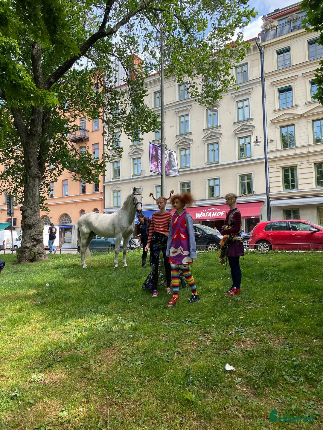 Övrigt hästar till salu: Iögonfallande bästis söker nya äventyr i Märsta - Annons 1