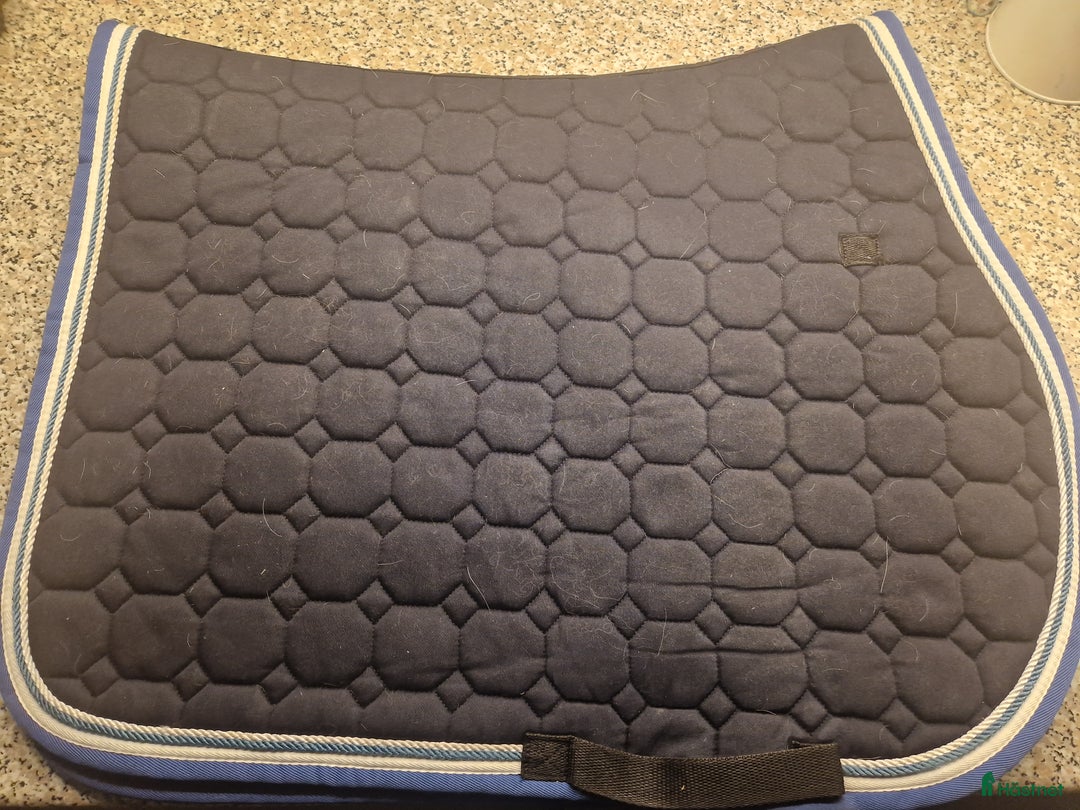 Schabrak & Vojlockar hästutrustning till salu: Equiline schabrak. i Tierp - Annons 2