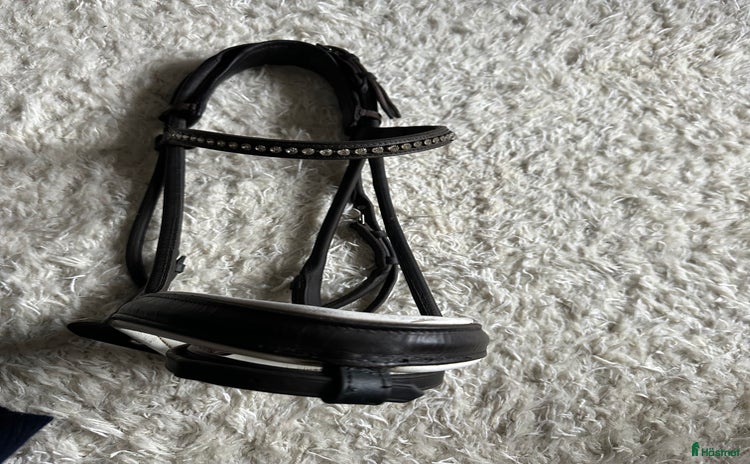 Träns hästutrustning till salu i Stockholm - Annons 11