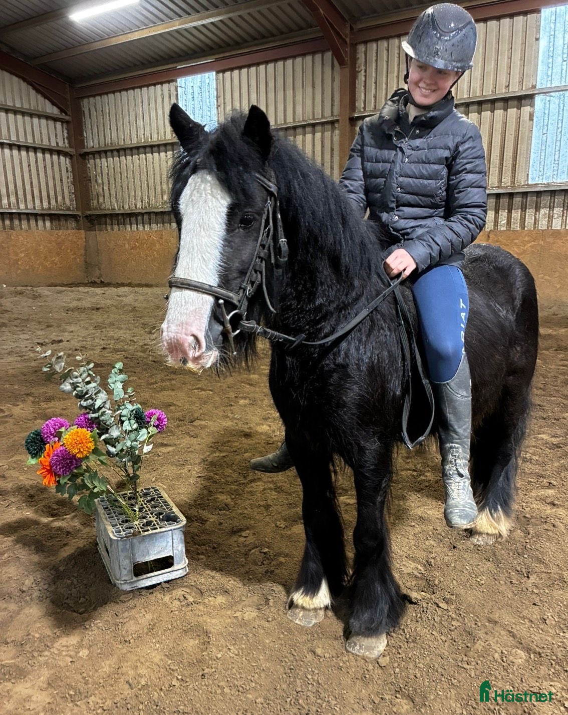  hästar Ride & Drive pony - Annons 1