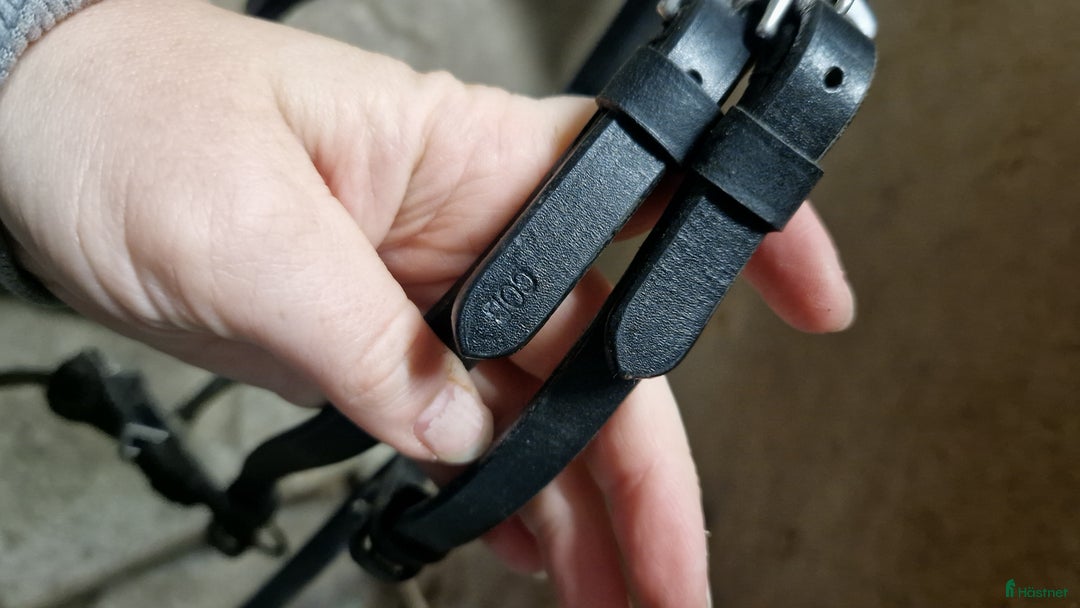 Träns hästutrustning till salu: Olika träns storlek cob i Umeå - Annons 2