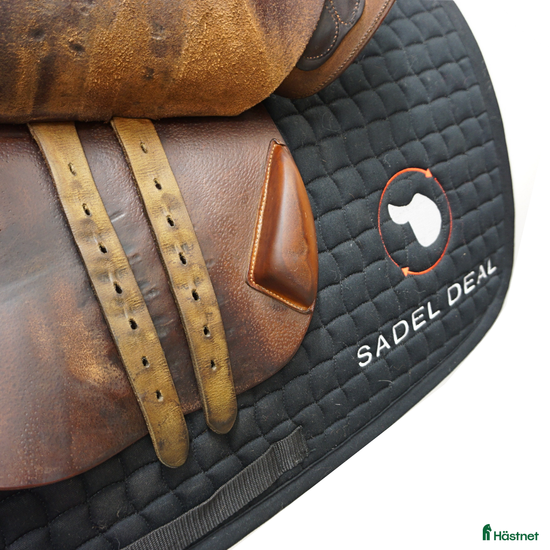 Sadlar hästutrustning till salu: Bruno Delgrange Partition 17" i Upplands Väsby - Annons 6