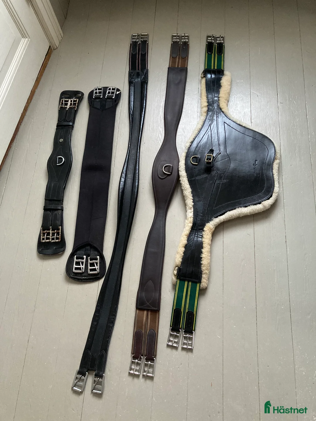 Sadeltillbehör hästutrustning till salu: Sadelgjordar i läder med resår + gjord i neopren - Annons 3