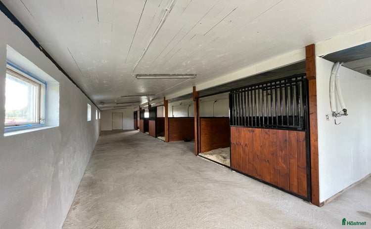  stallplats i Fjärås - Annons 10