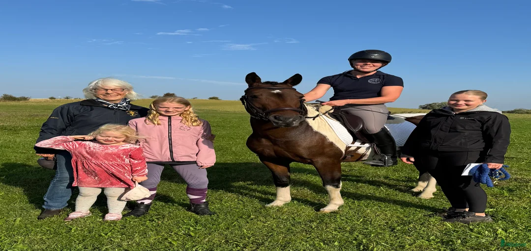 Galleribild {{count}}