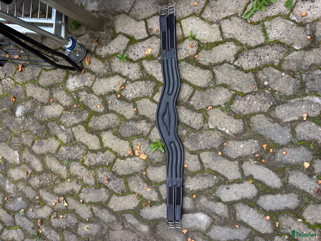 Sadeltillbehör hästutrustning till salu: Sadelgjord i Eslöv - Annons 2