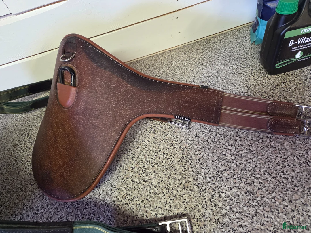 Sadeltillbehör hästutrustning till salu: Sadelgjord Prestige 110 cm - Annons 2