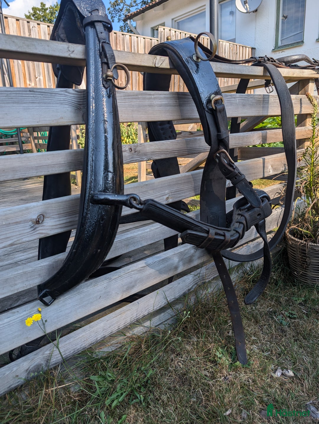 Körselar körning till salu: Parsele  i Höör - Annons 4