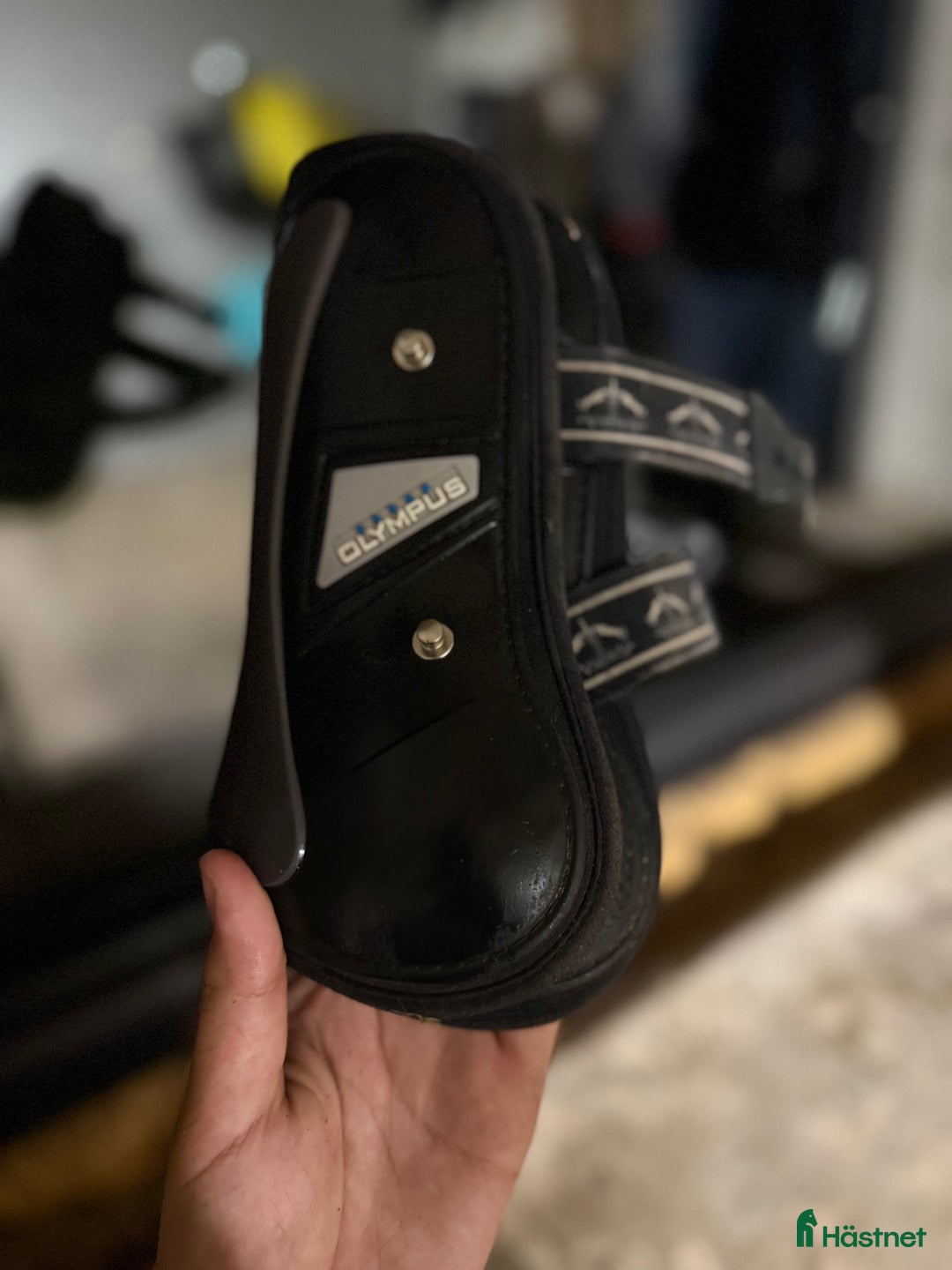 Benskydd hästutrustning till salu: Veredus benskydd svarta  i Tierp - Annons 2