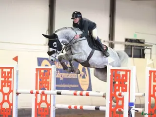 Hoppning hästar till salu: Fint sto e. Corporal VDL x Camaro M - Annons 2