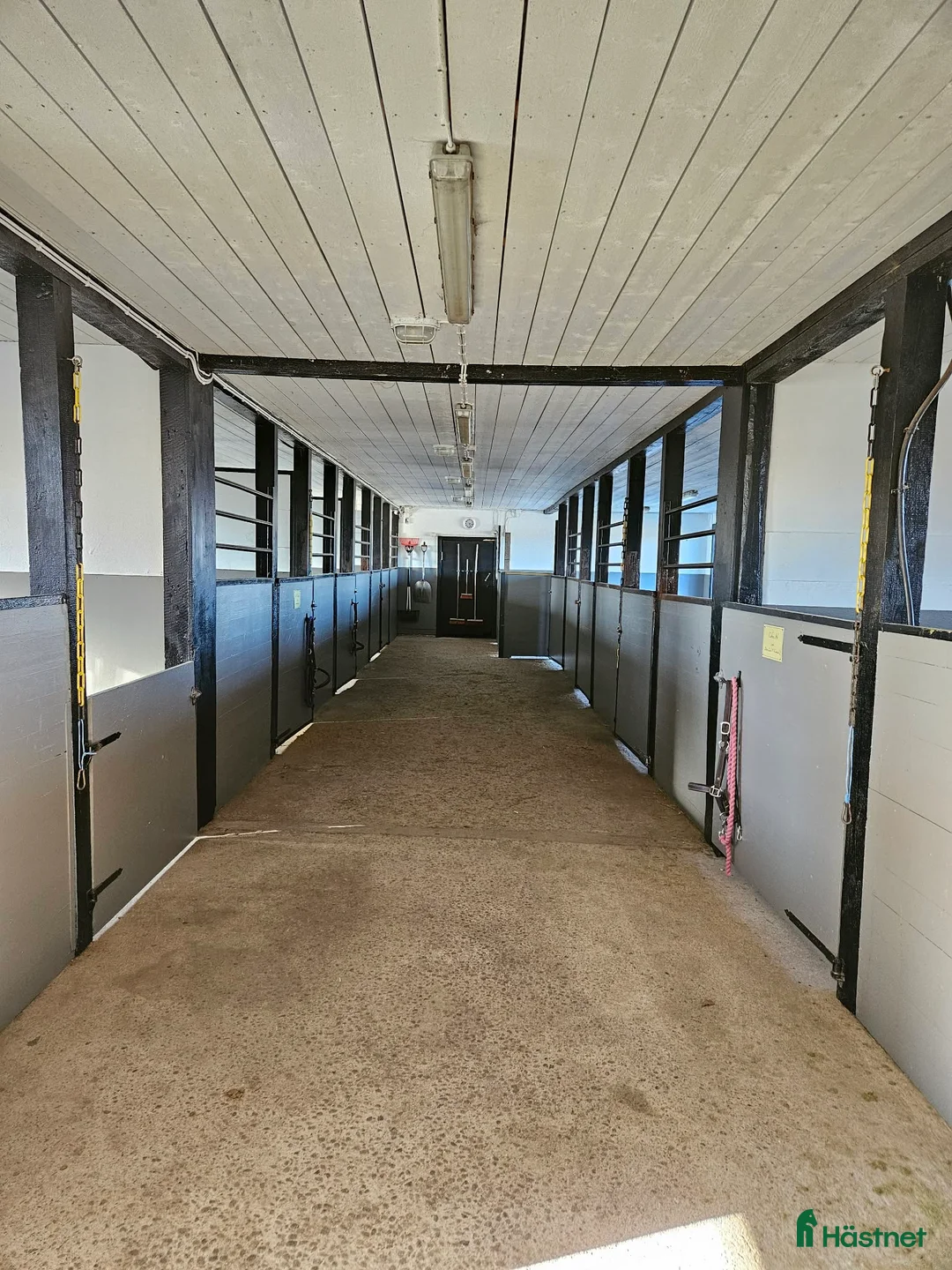  stallplats finnes: Helinackorderingsplats finnes i Frändefors - Annons 1