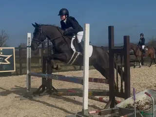 hästar Talented jumping pony - Annons 1