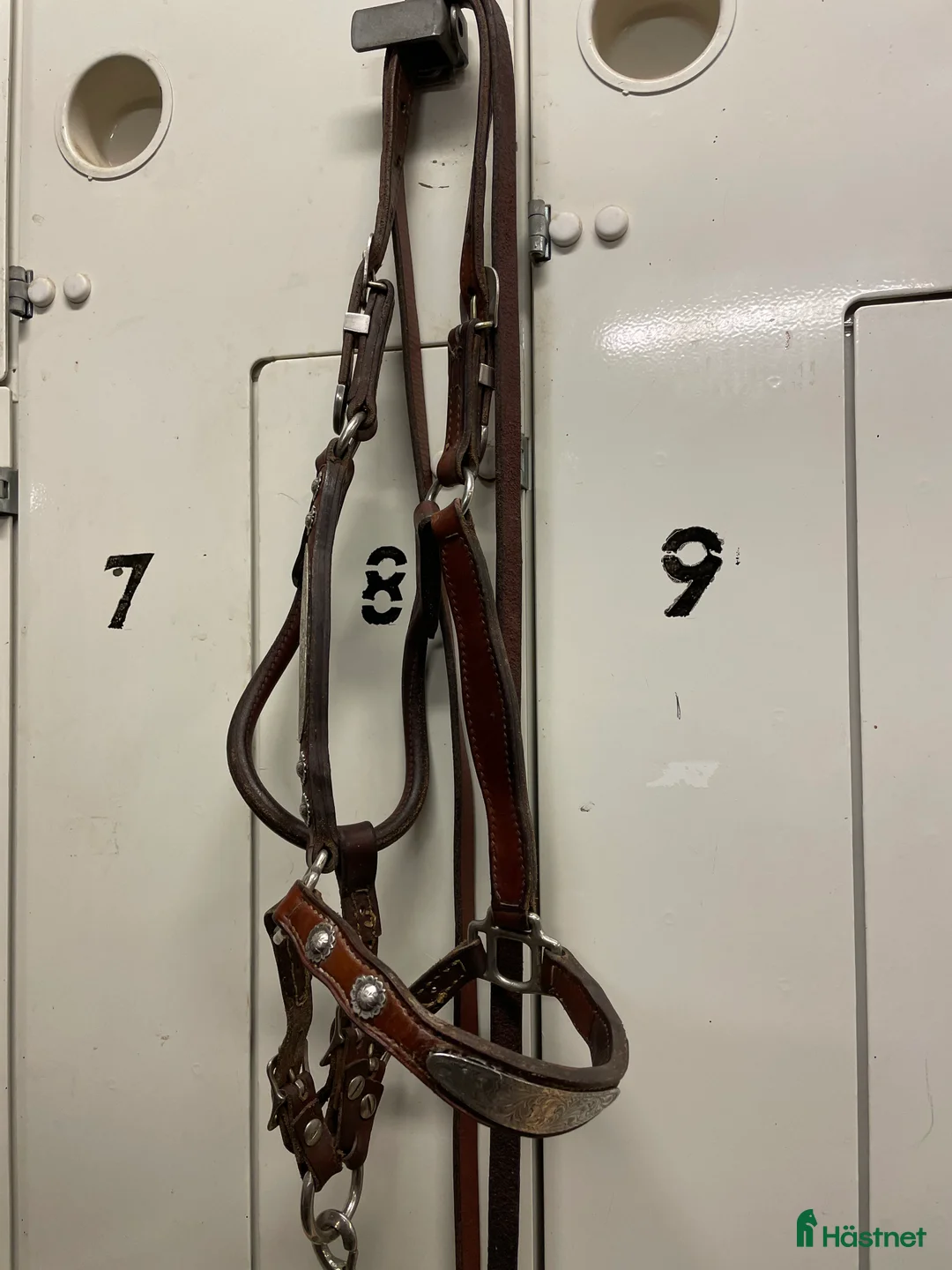 Övrig Hästutrustning hästutrustning till salu: Haltergrimma Showgrimma i Karlstad - Annons 7