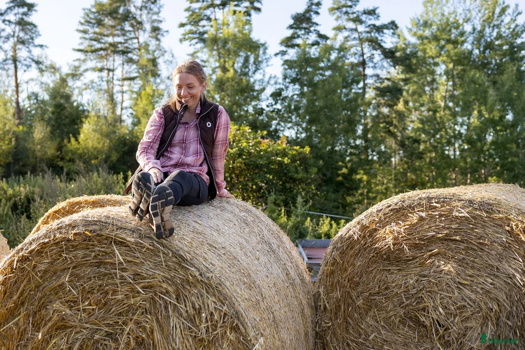 Galleribild {{count}}