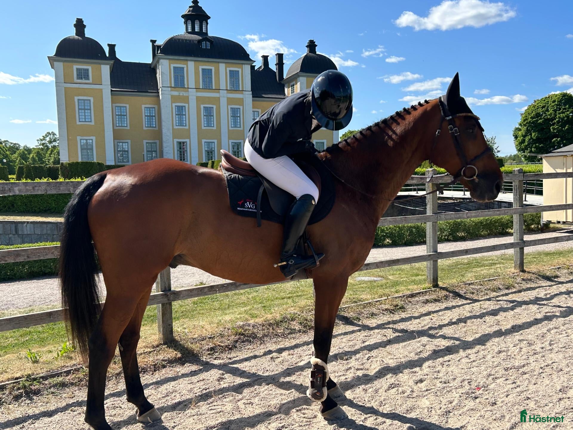  hästar Stabil hopphäst - Annons 2