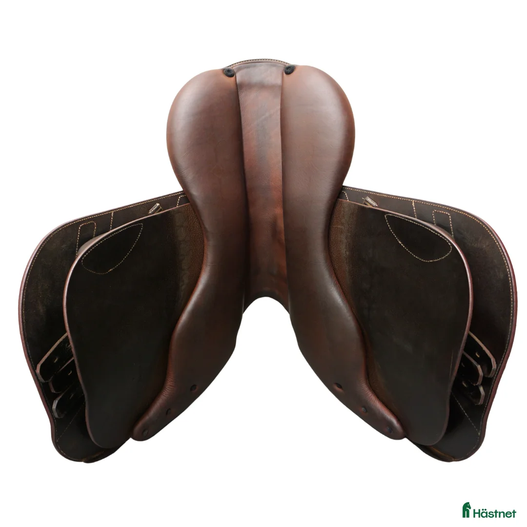 Sadlar hästutrustning till salu: Renaissance F 17" i nyskick! i Upplands Väsby - Annons 7