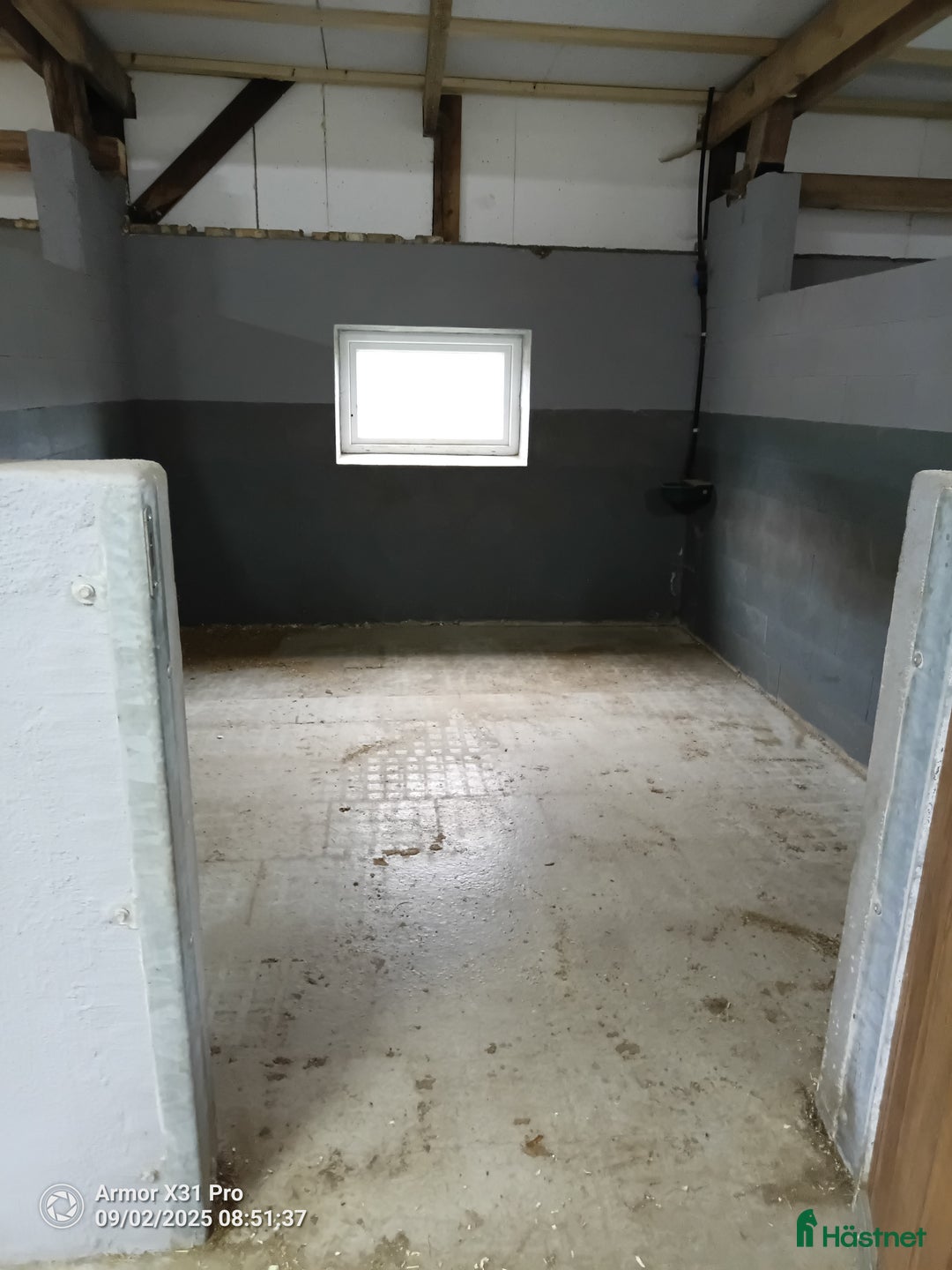  hästservice finnes: häststall tillgängligt Sönderössjö i Skånes Fagerhult - Annons 3