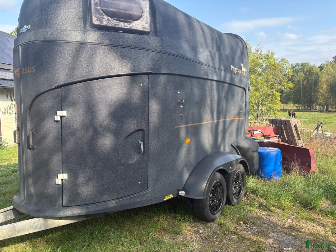 Hästtransporter  fordon & transport till salu: Hästtransport Humbaur Pegasus i Oskarshamn - Annons 3