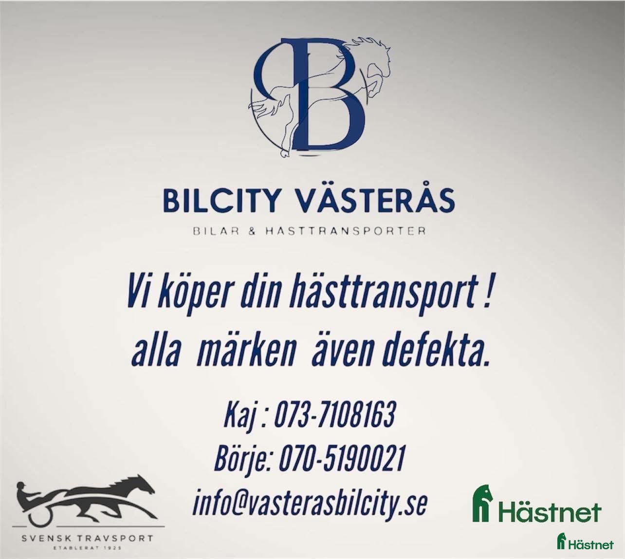 Hästtransporter  fordon & transport till salu: Vi köper din hästtransport!  - Annons 4