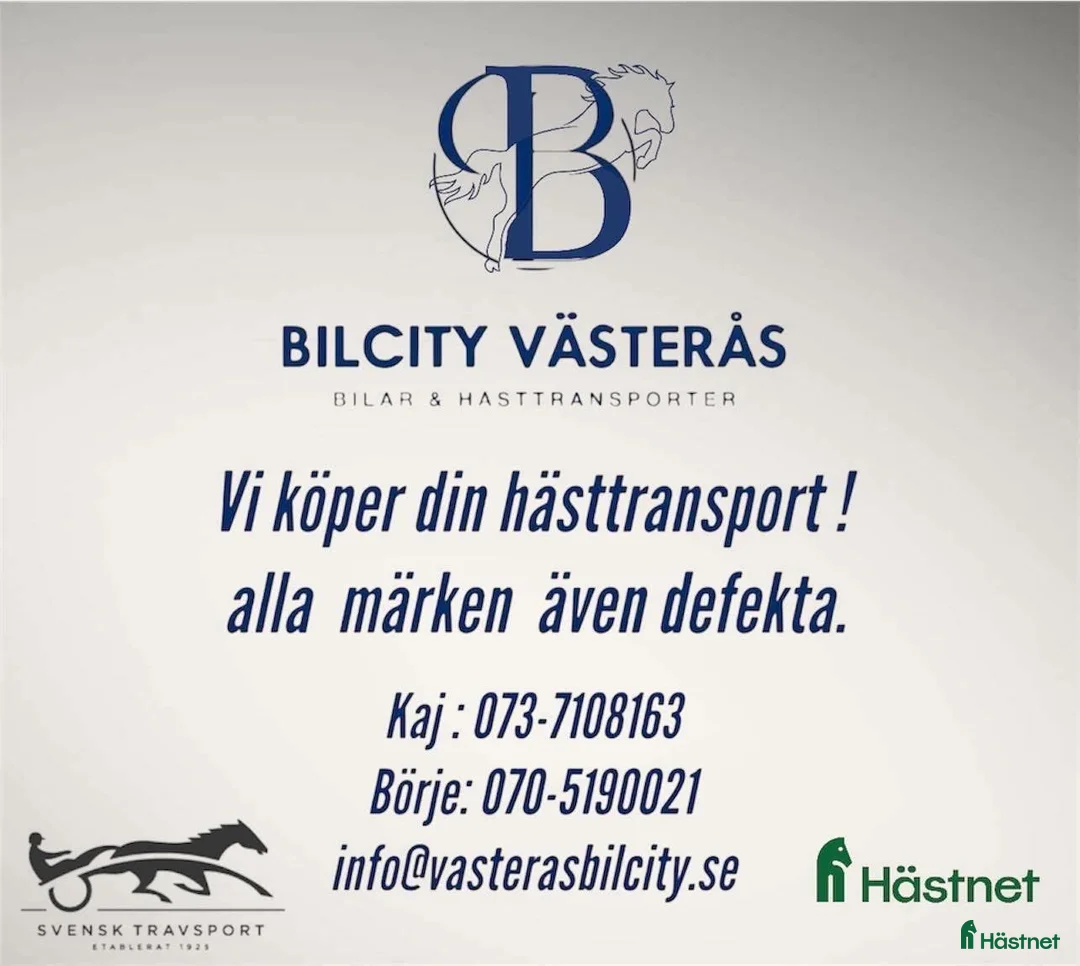 Hästtransporter  fordon & transport till salu: Vi köper din hästtransport!  - Annons 1