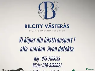 Hästtransporter fordon & transport till salu: Vi köper din hästtransport! - Annons 4