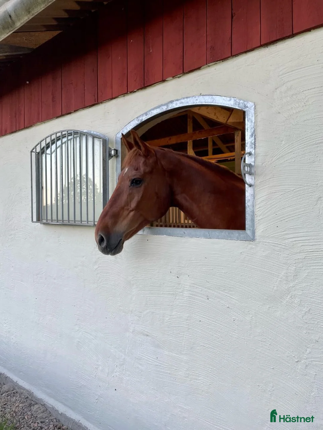  hästservice finnes: Rehabstall i Nyköping - Annons 2