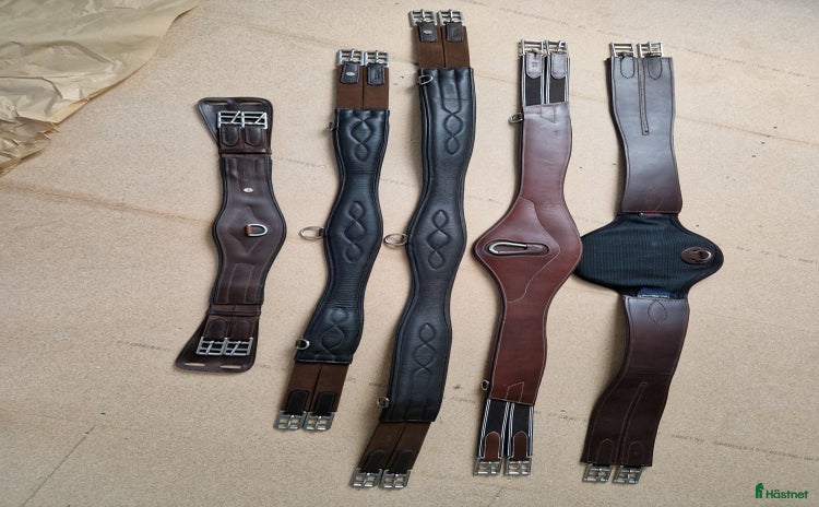 Sadeltillbehör hästutrustning till salu i Liatorp - Annons 1