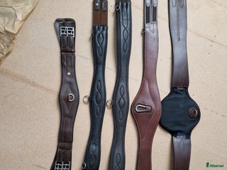 Sadeltillbehör hästutrustning till salu: Sadelgjordar i Liatorp - Annons 16