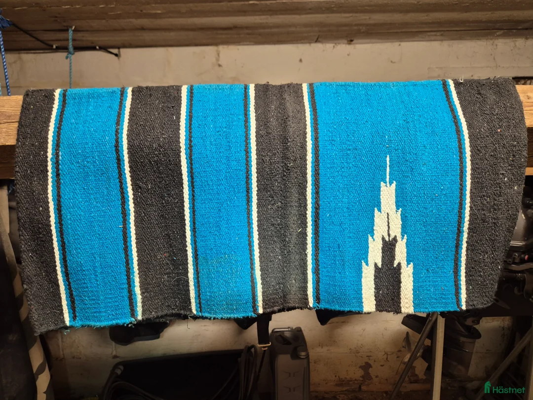 Sadlar hästutrustning till salu: Fin Simco i Kåge - Annons 6